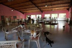 P1000329